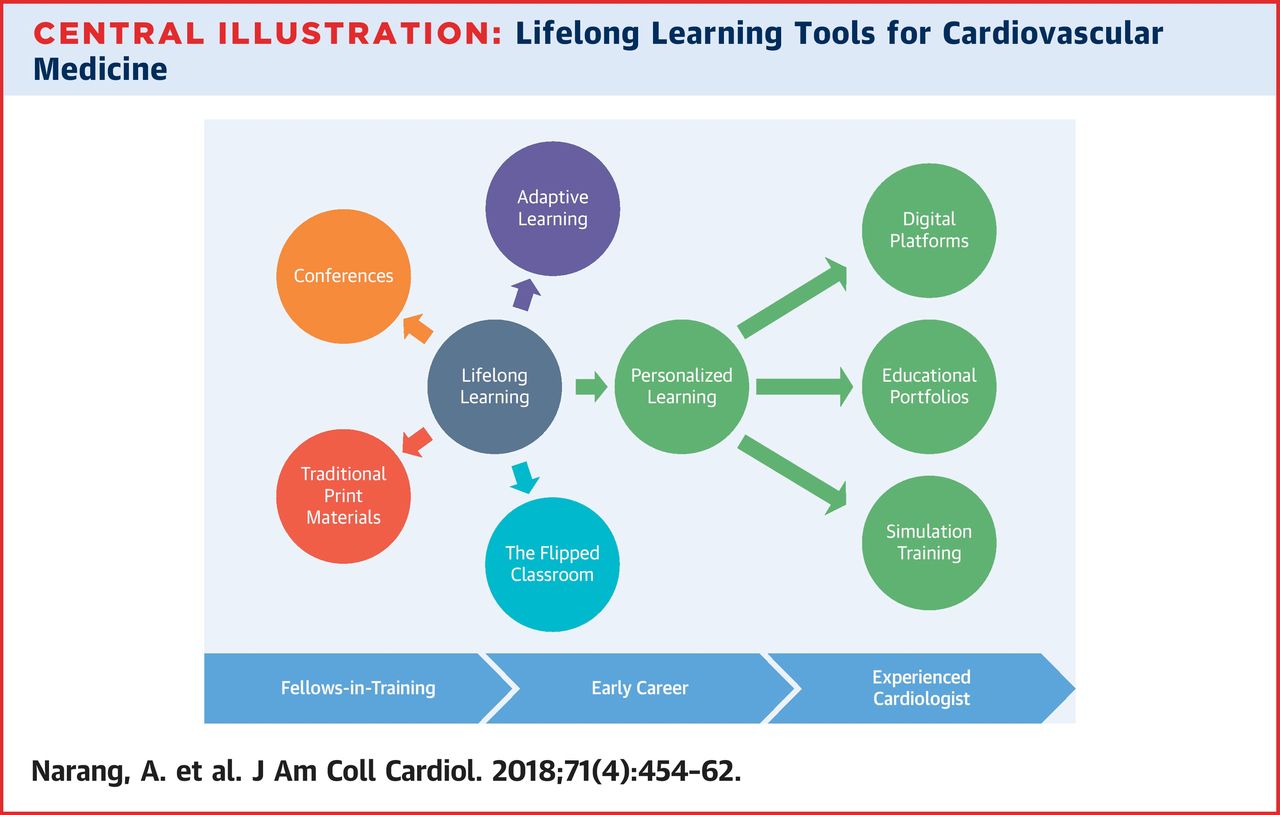 Live learning. Концепция lifelong Learning. Lifelong Learning непрерывное образование. Обучение в течение всей жизни. Lifelong Learning пример.