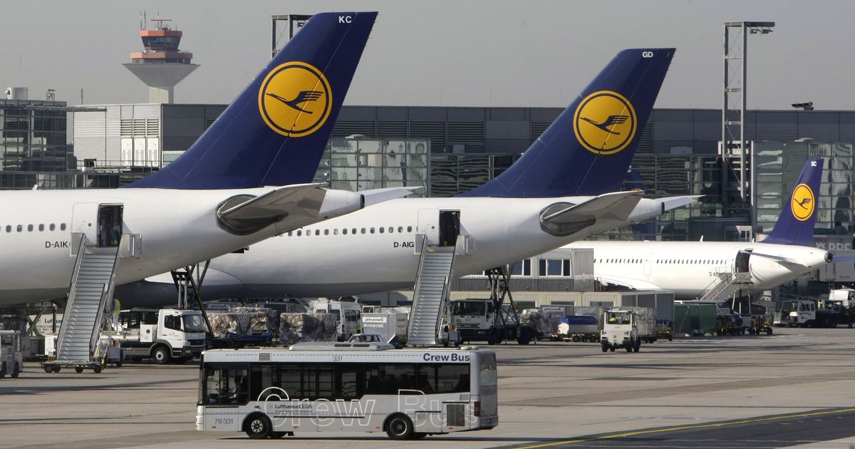 Lufthansa Review 2023